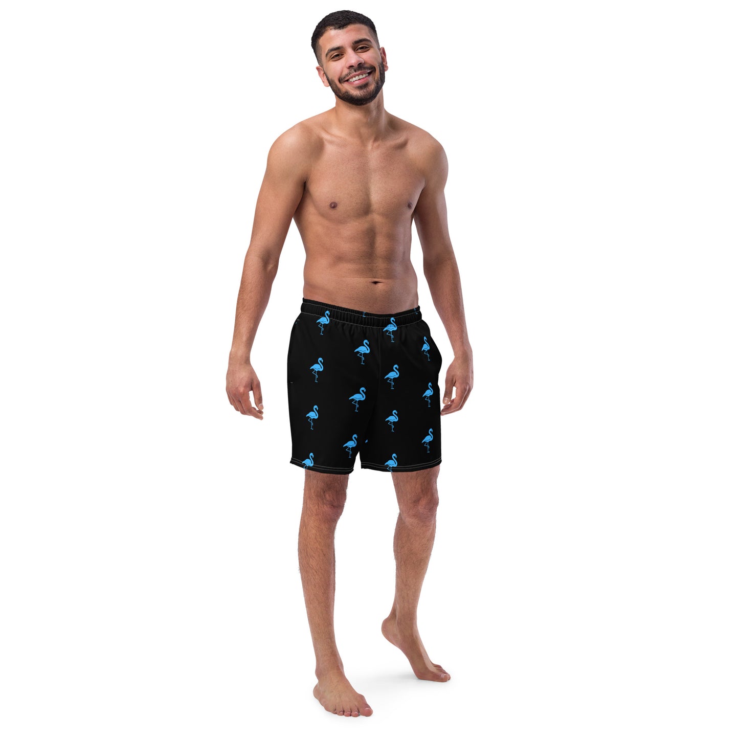 Mens Flamingo Swim Trunks - Black