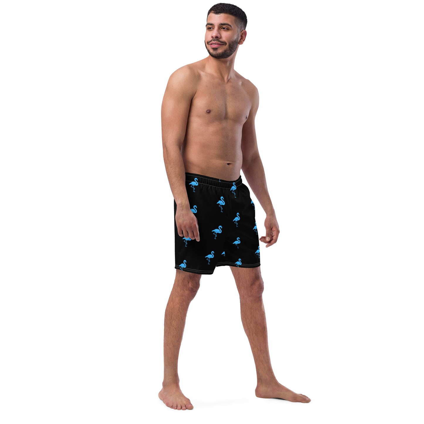 Mens Flamingo Swim Trunks - Black